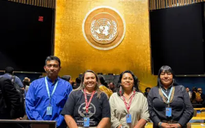Coiab fortalece defesa dos povos indígenas e da Amazônia na 25ª sessão do Fórum Permanente da ONU