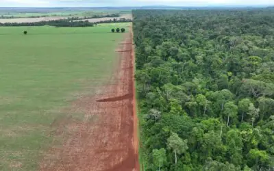 Criação do Parque Nacional do Rio Tanaru representa avanço na proteção da memória e dos direitos indígenas, destaca Coiab
