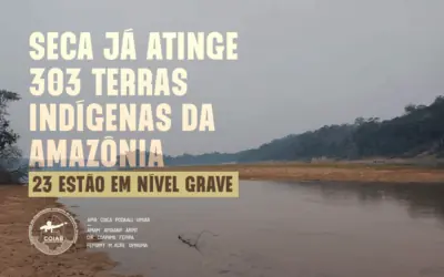 Seca já atinge 303 Terras Indígenas da Amazônia, sendo 23 em nível grave, aponta levantamento da Coiab